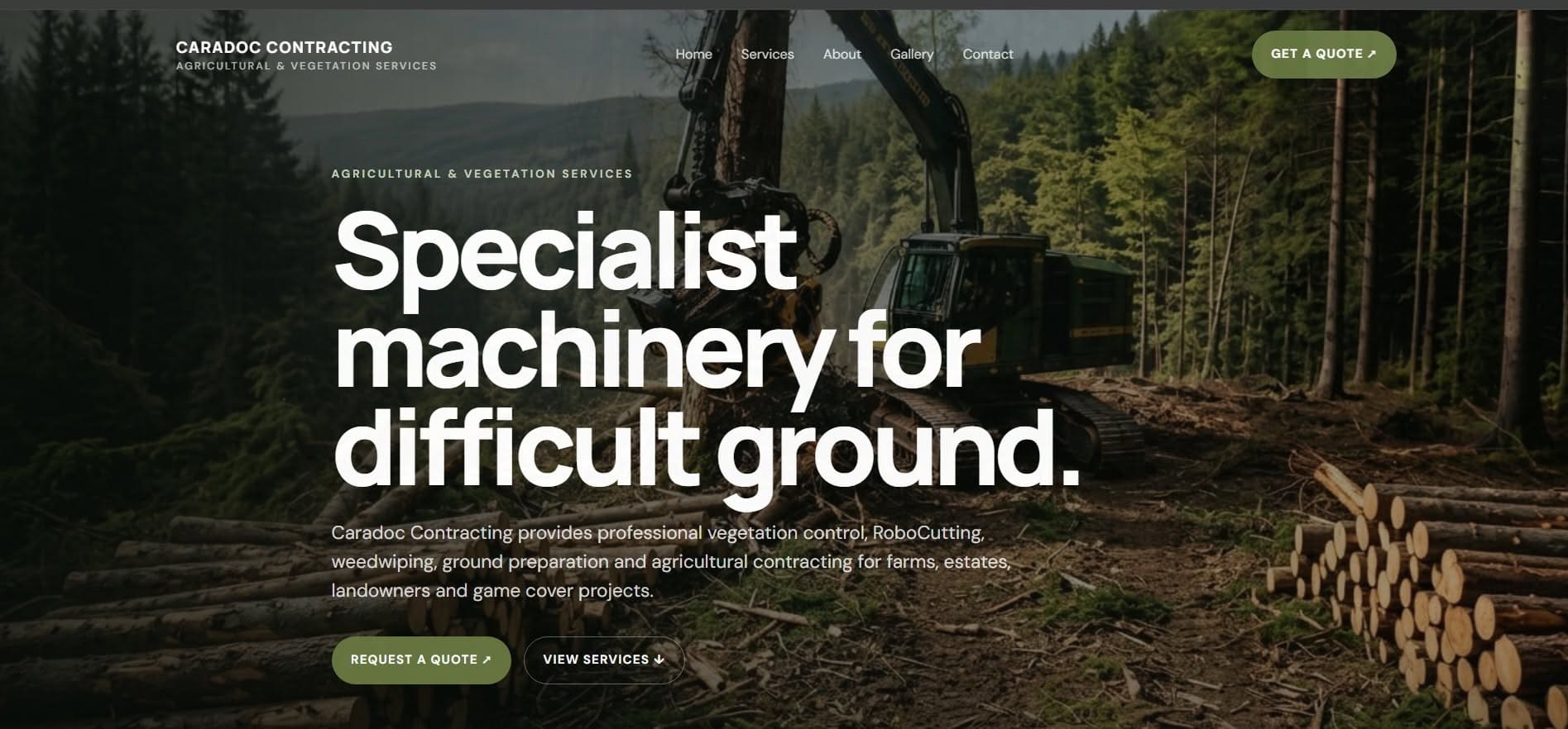 Web Design Project